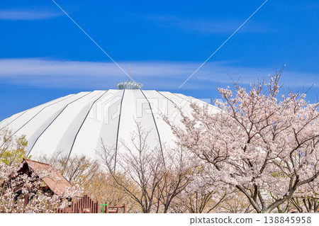 <Shimane Prefecture> Izumo Dome in Spring, April <Shimane Prefecture> Izumo Dome in Spring, April 138845958