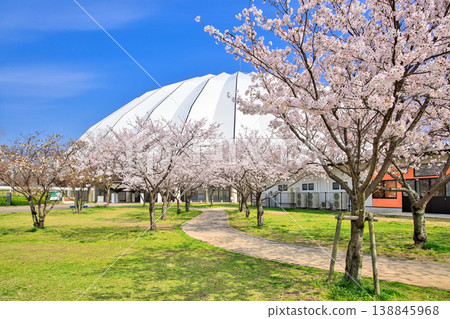 島根縣出雲巨蛋的春季,四月 島根縣出雲巨蛋的春季,四月 138845968