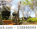 Cherry blossoms at Komazawa Ryokusen Park 138846049