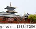 Historic Japanese Temple Pagoda With Golden Roof and Cherry Blossom Trees in Spring 138846260
