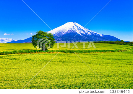 一張由美瑛美麗的鄉村景色和富士山合成的圖片。 一張由美瑛美麗的鄉村景色和富士山合成的圖片。 138846445
