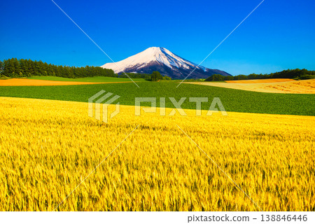 A composite image of the beautiful rural landscape of Biei and Mount Fuji. A composite image of the beautiful rural landscape of Biei and Mount Fuji. 138846446