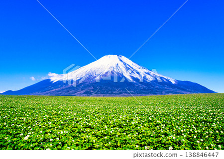 A composite image of the beautiful rural landscape of Biei and Mount Fuji. A composite image of the beautiful rural landscape of Biei and Mount Fuji. 138846447