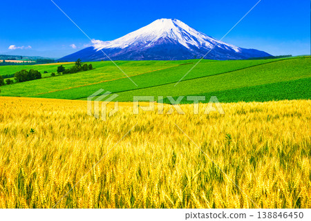 A composite image of the beautiful rural landscape of Biei and Mount Fuji. A composite image of the beautiful rural landscape of Biei and Mount Fuji. 138846450