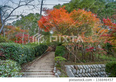 Autumn foliage scenery at Takigashira Park in Tahara City (Aichi Prefecture) 138846457