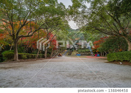 愛知縣田原市瀧頭公園的秋葉景色 愛知縣田原市瀧頭公園的秋葉景色 138846458