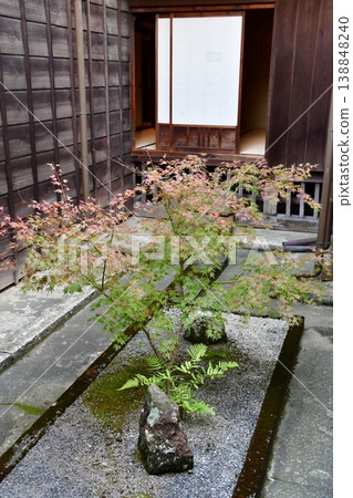 掛川城 028:二之丸御所,庭院 掛川城 028:二之丸御所,庭院 138848240