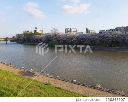 河邊櫻花盛開,春意盎然,景色宜人。 河邊櫻花盛開,春意盎然,景色宜人。 138848507