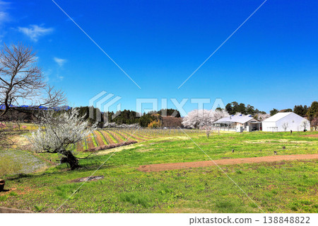 Nationally designated historic site: Matsugaoka Reclamation Site 138848822