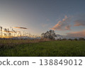 Landscape with clouds and trees under changing sky at end of day 138849012