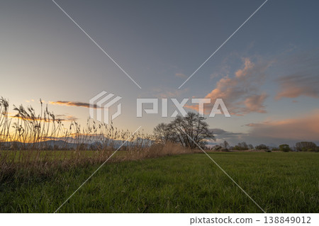 Landscape with clouds and trees under changing sky at end of day 138849012