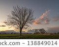 Bare tree stands in field at sunset near mountains 138849014