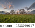 Cloudy sky and green fields at dusk on a spring day 138849017