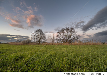 Cloudy sky and green fields at dusk on a spring day 138849017