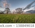 Cloudy sky and green fields at dusk on a spring day 138849018