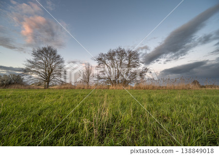 Cloudy sky and green fields at dusk on a spring day 138849018