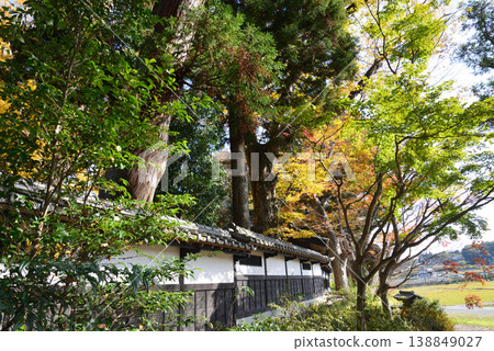 Autumn leaves at Sainenji Temple, 2025-11-16, #45 Autumn leaves at Sainenji Temple, 2025-11-16, #45 138849027