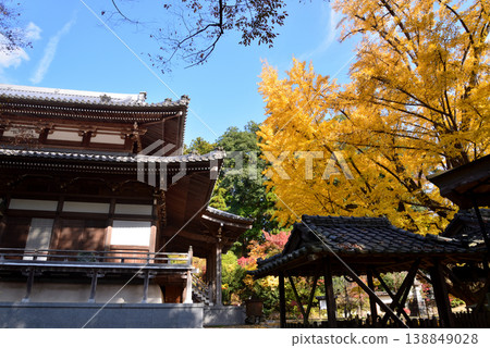 Autumn leaves at Sainenji Temple, 2025-11-16, #46 Autumn leaves at Sainenji Temple, 2025-11-16, #46 138849028