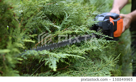 Electric hedge trimmer cutting green bush close up gardening work. Man trimming hedge with electric trimmer garden maintenance concept. 138849965