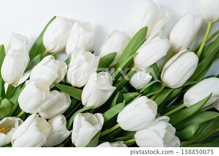Womens Day spring tulip composition. Spring Floral Composition. Womens Day spring tulip composition. Spring Floral Composition. 138850075
