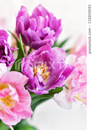 romantic spring floral arrangement soft pink and purple tulip bouquet. Greeting card with flowers romantic spring floral arrangement soft pink and purple tulip bouquet. Greeting card with flowers 138850091