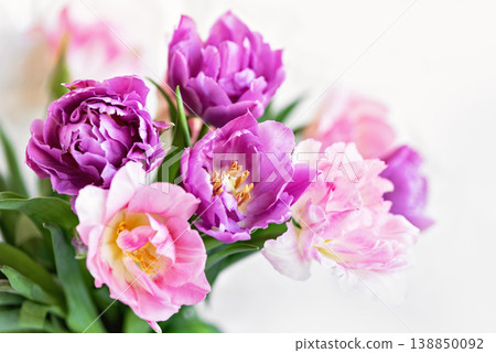 romantic spring floral arrangement soft pink and purple tulip bouquet. Greeting card with flowers romantic spring floral arrangement soft pink and purple tulip bouquet. Greeting card with flowers 138850092