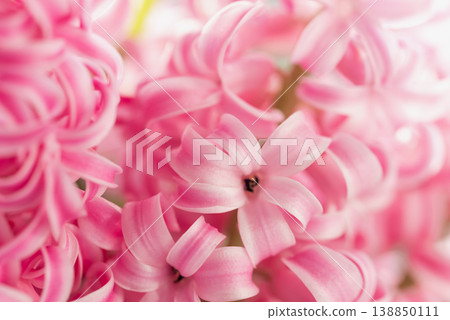 8 March greeting card. mother's day, International Women's Day congratulate Holiday background 8 March greeting card. mother's day, International Women's Day congratulate Holiday background 138850111
