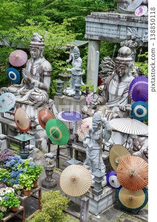 Hydrangea scenery at Tsubosaka Temple in Japan, where Japanese umbrellas and Buddhist statues stand side by side. 138850118