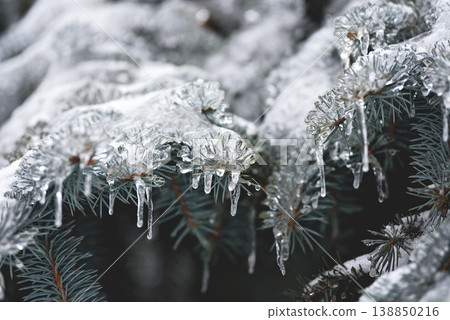 Winter Frost on Branches for Climate and Nature Themes Winter Frost on Branches for Climate and Nature Themes 138850216