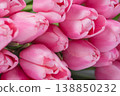 Beautiful Bouquet of pink delicate tulips. Spring background. 138850232