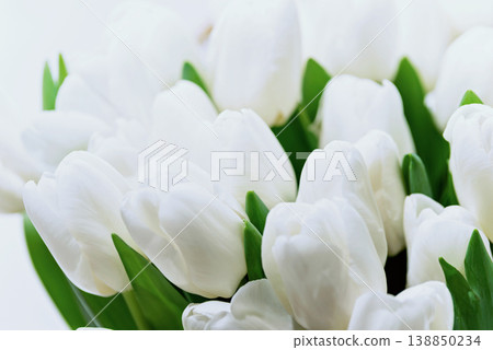 Beautiful Bouquet of white delicate tulips. Spring background. Beautiful Bouquet of white delicate tulips. Spring background. 138850234