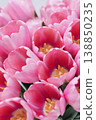 Flowers, spring holidays and home decor concept - Bouquet beautiful tulips, floral background 138850235
