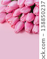 Beautiful Bouquet of pink delicate tulips. Spring background. 138850237