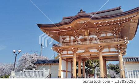 櫻花和山門 櫻花和山門 138850296