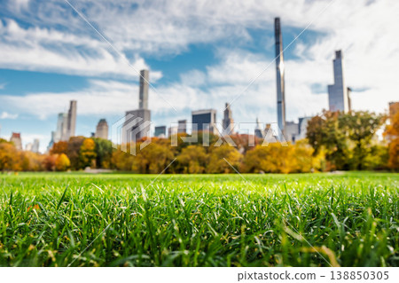 Close up grass in Central Park with blurred Manhattan skyline and autumn foliage in New York City USA Close up grass in Central Park with blurred Manhattan skyline and autumn foliage in New York City USA 138850305
