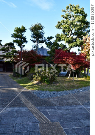 Kakegawa Castle 105 Takenomaru Kakegawa Castle 105 Takenomaru 138850397