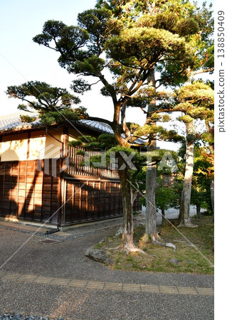 掛川城 117 竹之丸 掛川城 117 竹之丸 138850409