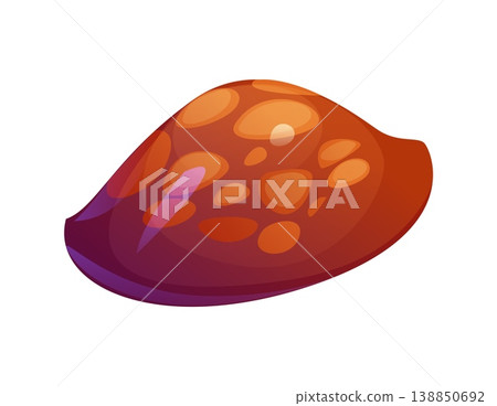 Ocean bottom cowrie cartoon seashell or mussel. Tropical sea fauna cartoon shell, ocean life aquatic mussel. Coral reef isolated seashell Ocean bottom cowrie cartoon seashell or mussel. Tropical sea fauna cartoon shell, ocean life aquatic mussel. Coral reef isolated seashell 138850692
