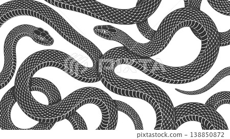 Snake Pattern Detailed Reptile Design raster Snake Pattern Detailed Reptile Design raster 138850872