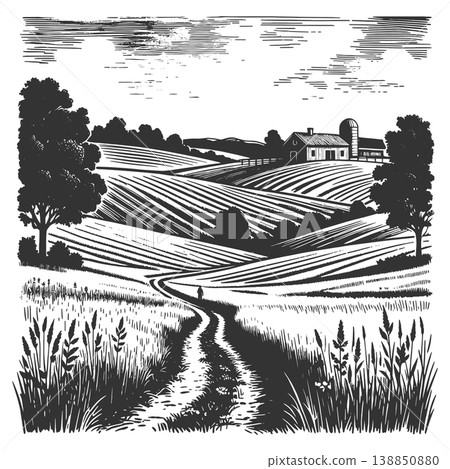 Rural Farm Landscape with Fields and Country Road 138850880