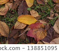 The vibrant red autumn leaves beautifully adorn the natural scenery, marking the arrival of autumn. 138851095
