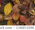 As autumn deepens, the vibrant red autumn leaves create a beautiful and impressive landscape. 138851096
