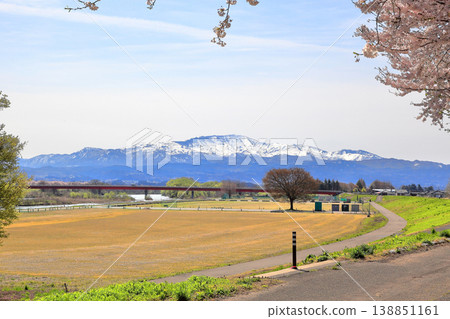 赤川河沿岸的櫻花樹 赤川河沿岸的櫻花樹 138851161