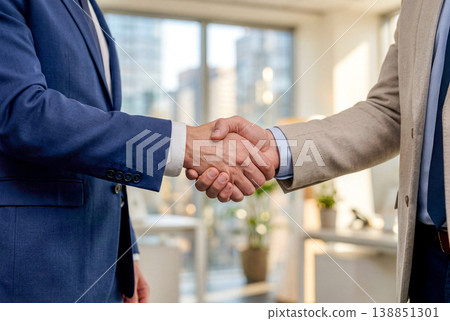 Businessmen shaking hands 138851301