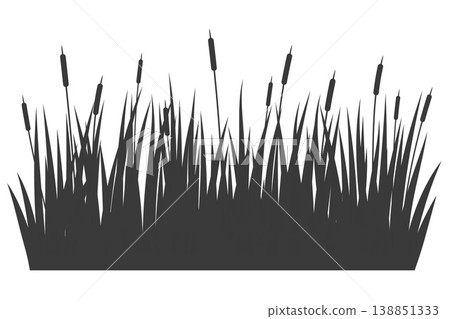 Swamp grass reed silhouette. Vector tall cattails near river and lake bank isolated on white background. Water bulrush plants. High foliage flat illustration Swamp grass reed silhouette. Vector tall cattails near river and lake bank isolated on white background. Water bulrush plants. High foliage flat illustration 138851333