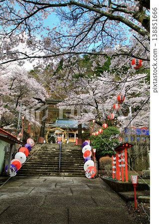 春日里，鬼怒川溫泉增添了一抹亮麗的色彩…藤原町護國神社的櫻花盛開。 138851666