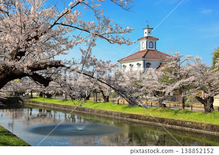 Tsuruoka Park Cherry Blossom Festival Tsuruoka Park Cherry Blossom Festival 138852152
