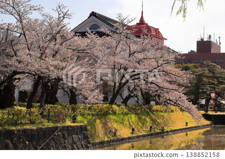 鶴岡公園櫻花節 鶴岡公園櫻花節 138852158