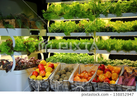 Fresh vegetables 138852947