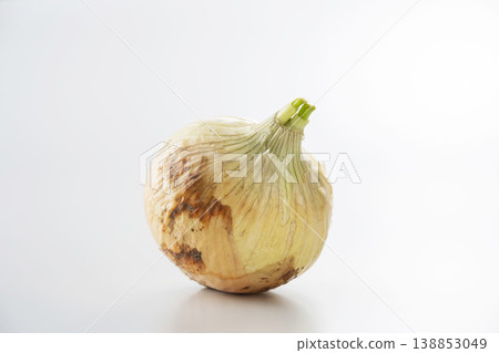 新洋蔥 新洋蔥 138853049